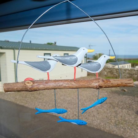 Kittiwake Apartment Saint Cyrus Exterior photo